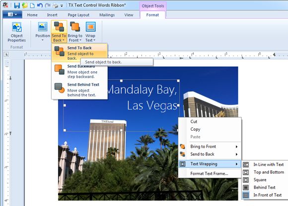 文字處理控件,TX Text Control ActiveX,透明文本框